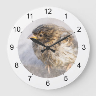 Reloj Redondo Grande Sparrow - Fracaso epidémico en las predicciones me