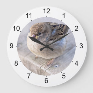 Reloj Redondo Grande Sparrow - Sobrepeso