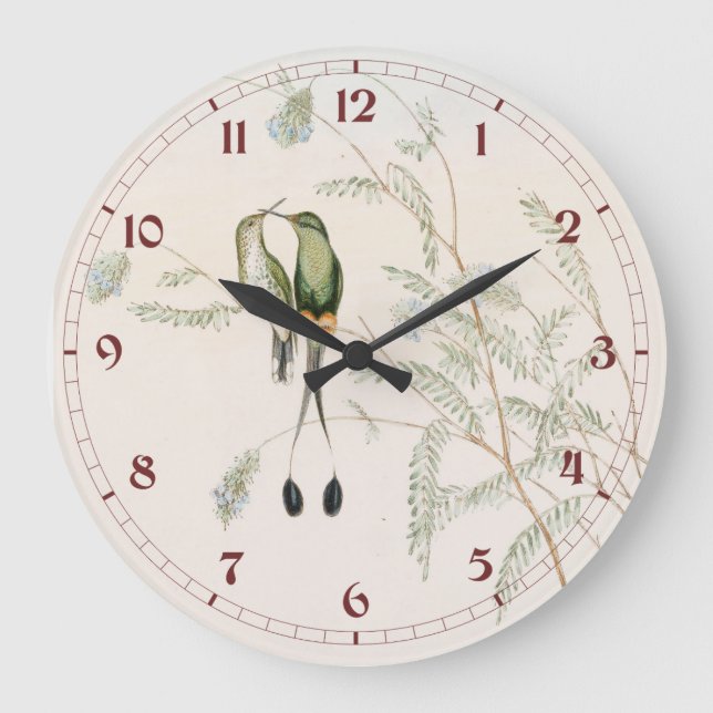 Reloj Redondo Grande Spathura Peruana Hummingbirds by John Gould (Anverso)