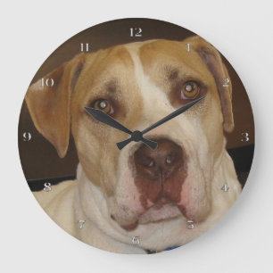 Reloj Redondo Grande Stan Wall Clock