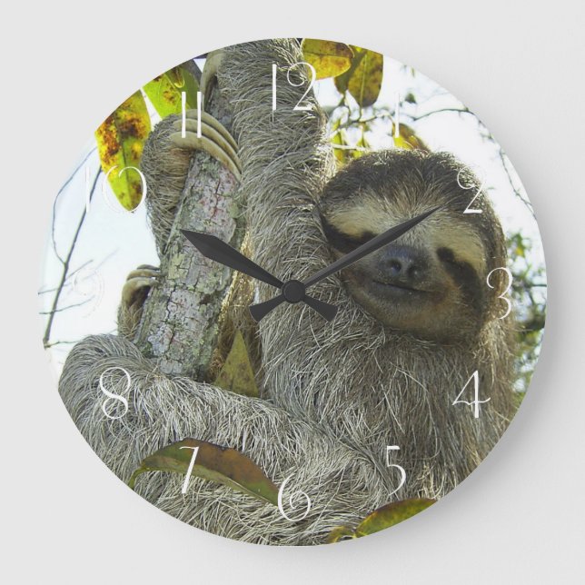 Reloj Redondo Grande Subir un árbol (Anverso)