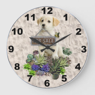 Reloj Redondo Grande Succulents for sale