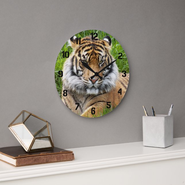 Reloj Redondo Grande Sumatran Tiger Wildlife Photo (Oficina)