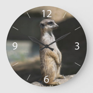 Reloj Redondo Grande Suricata