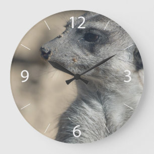 Reloj Redondo Grande Suricata divertida
