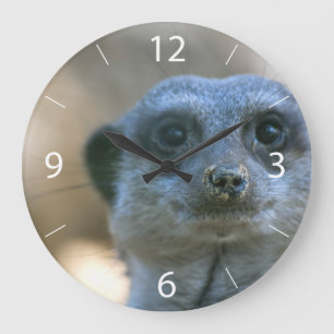 Reloj Redondo Grande Suricata divertida