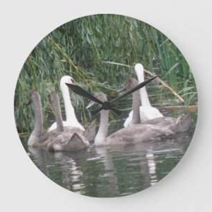 Reloj Redondo Grande SWans y Cygnets Clock