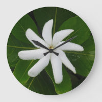 Tahitian Gardenia