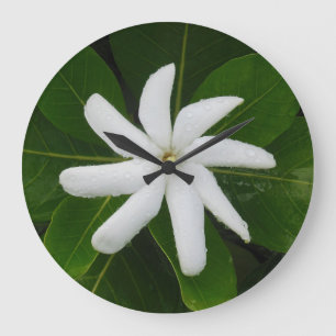 Reloj Redondo Grande Tahitian Gardenia