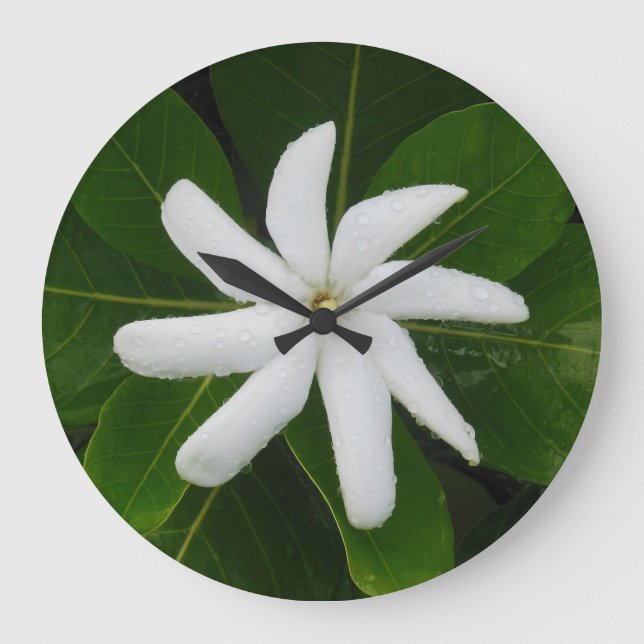 Reloj Redondo Grande Tahitian Gardenia (Anverso)