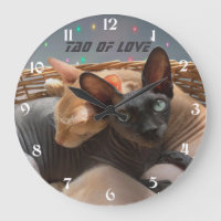 Tao de amor - Dos gatos Sfinx personalizados