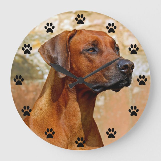 Reloj Redondo Grande Tiempo de impresión Ridgeback Perro Paw Rhodesia (Anverso)