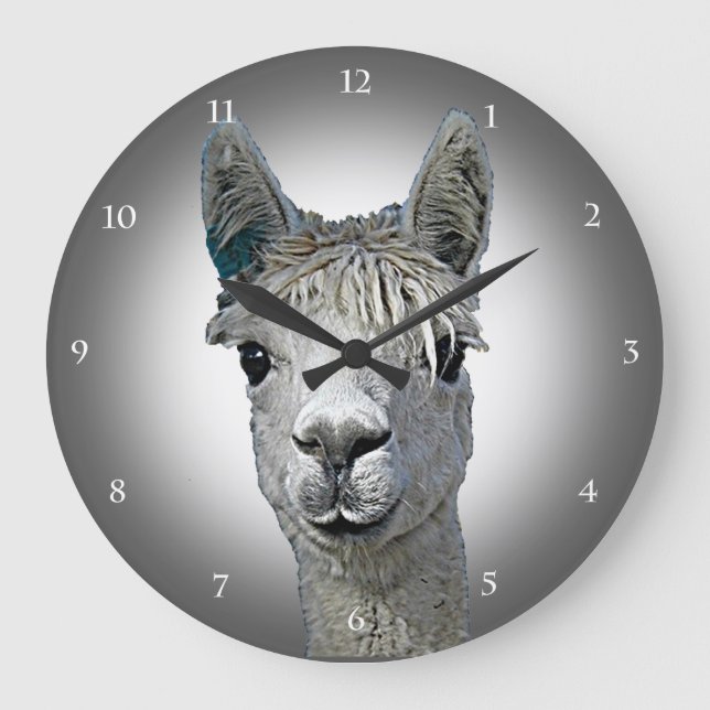 Reloj Redondo Grande Tiempo de la alpaca (Anverso)