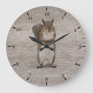 Reloj Redondo Grande ¿Tienes nueces?