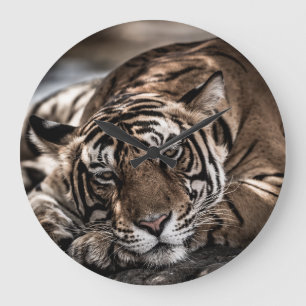Reloj Redondo Grande Tigre de Ranthambore: arte de primera mano.