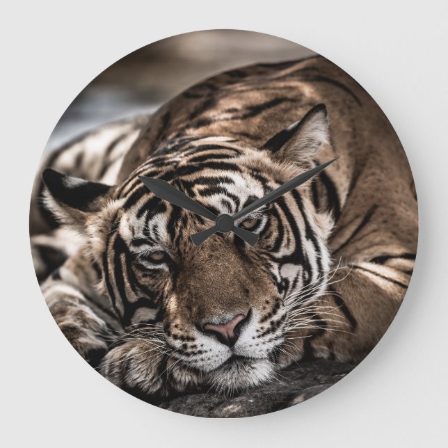 Reloj Redondo Grande Tigre de Ranthambore: arte de primera mano. (Anverso)