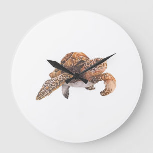 Reloj Redondo Grande Tortuga Copiar Copiar Copiar Copiar Copiar Copiar 