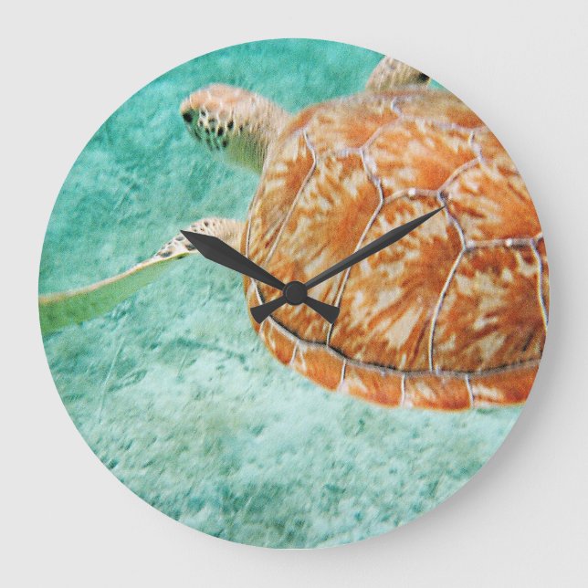 Reloj Redondo Grande Tortuga marina (Anverso)