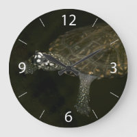 Tortuga nadando