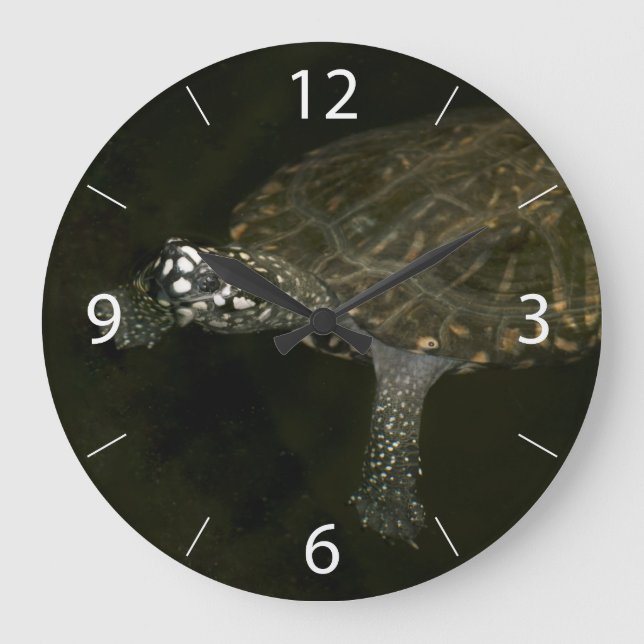 Reloj Redondo Grande Tortuga nadando (Anverso)