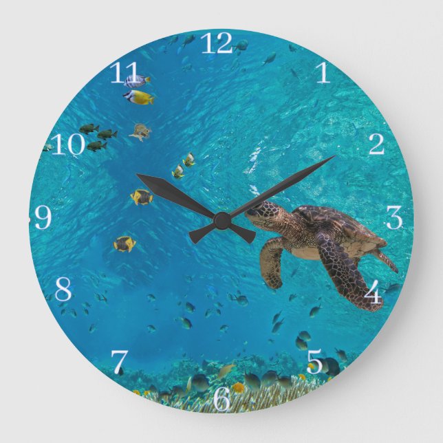Reloj Redondo Grande Tortugas marinas (Anverso)