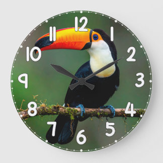 Reloj Redondo Grande Toucan Wall Clock – Tropical Bird Wildlife Nature 