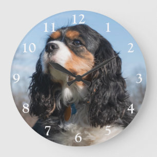 Reloj Redondo Grande Tri Color Cavalier King Charles Spaniel Perro Gran
