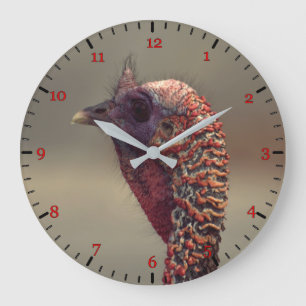 Reloj Redondo Grande Turkey bird portrait