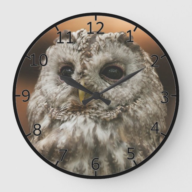 Reloj Redondo Grande Twany Owl (Anverso)