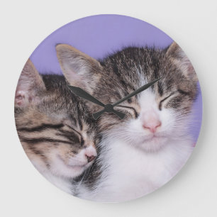 Reloj Redondo Grande Two Cute Kittens Napping