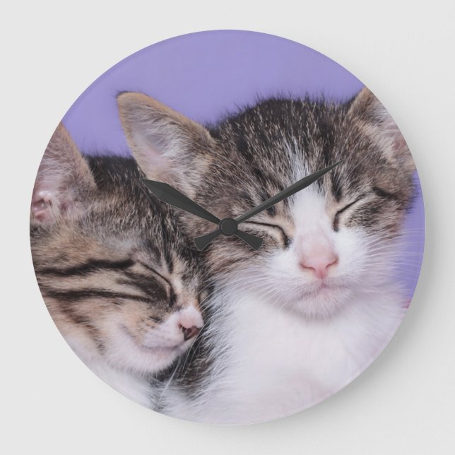 Reloj Redondo Grande Two Cute Kittens Napping (Anverso)