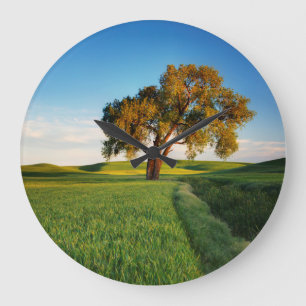 Reloj Redondo Grande Un árbol solitario rodeado de colinas onduladas de