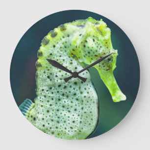 Reloj Redondo Grande Un Seahorse hermoso de Knysna