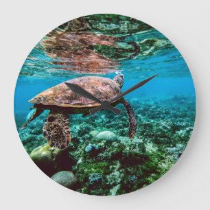 Reloj Redondo Grande Undersea Tropical Sea Turtle