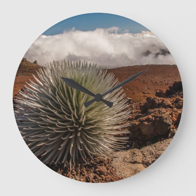 Reloj Redondo Grande USA, Hawaii, Maui, Haleakala National Park (Anverso)