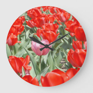 Reloj Redondo Grande USA, Kansas, Red Tulips With One Pink Tulip