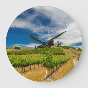 Reloj Redondo Grande USA, Washington, Lake Chelan. Vineyard 3