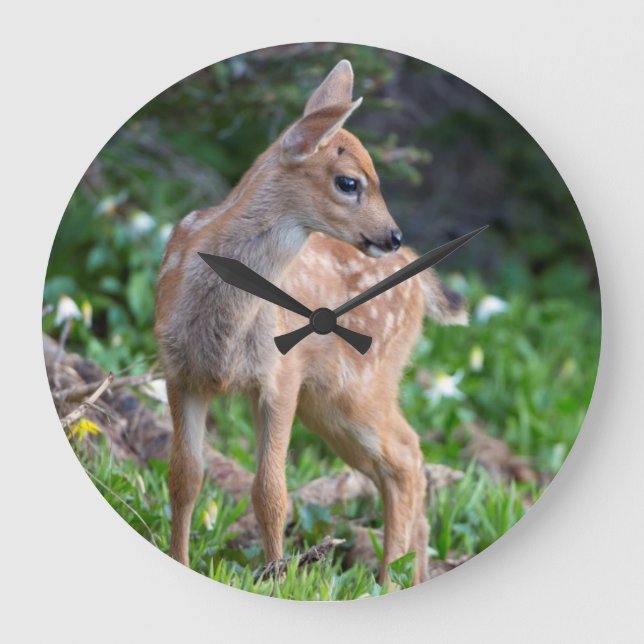 Reloj Redondo Grande USA, Washington State. Blacktail Deer Fawn (Anverso)