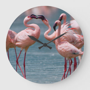 Reloj Redondo Grande Varón dos pocos flamencos (menor de