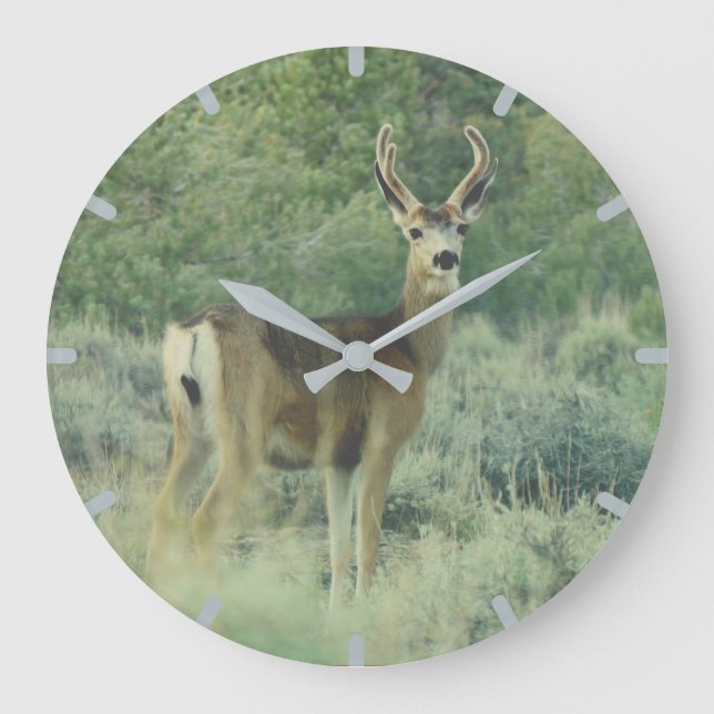 Reloj Redondo Grande  Venado  (Anverso)