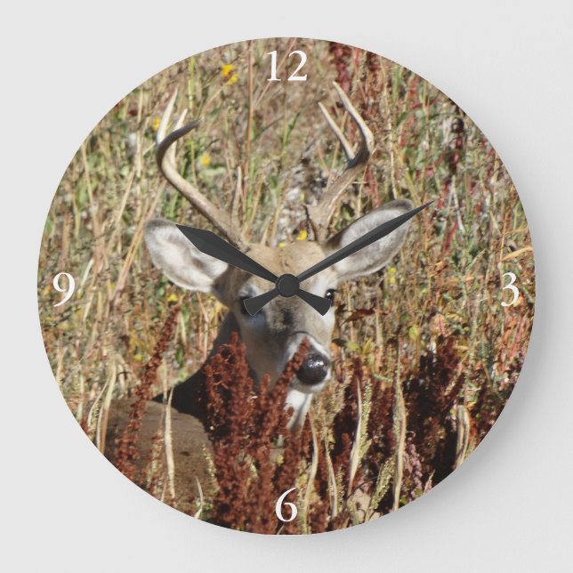 Reloj Redondo Grande Venado de cola blanca D31 en las malezas (Anverso)
