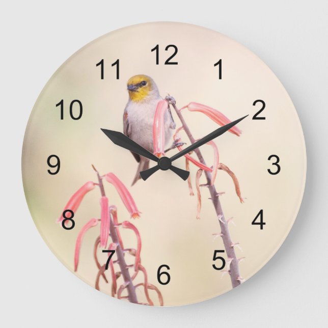 Reloj Redondo Grande Verdin encaramado sobre pénstemo (Anverso)