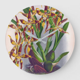 Reloj Redondo Grande Vino de cosecha y orquídea amarilla Odontoglossum