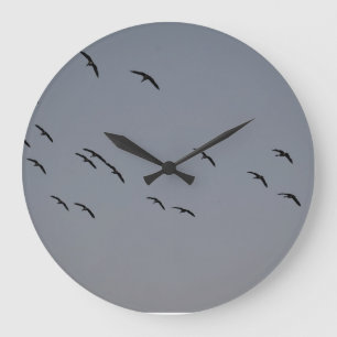 Reloj Redondo Grande Vuelo nocturno