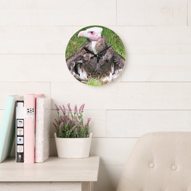 RELOJ REDONDO GRANDE VULTURA (Sala de lectura)