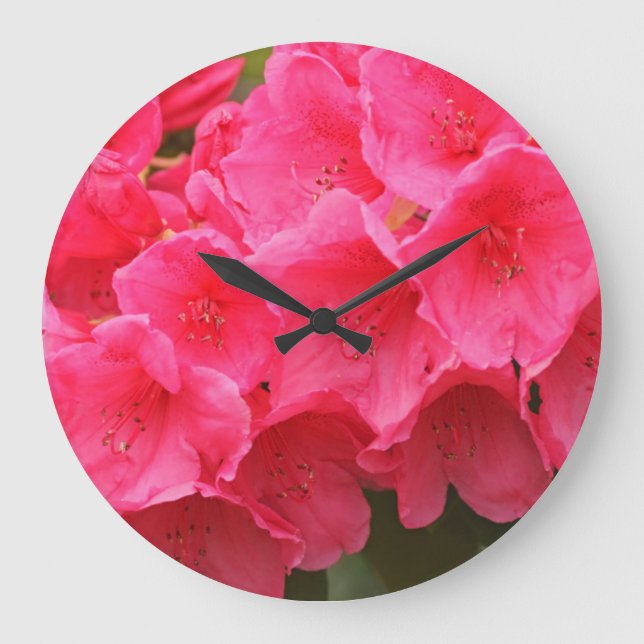 Reloj Redondo Grande Washington, Seattle, Puget Sound, Discovery Park (Anverso)