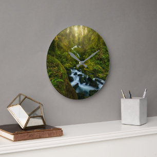 Reloj Redondo Grande Waterfalls   Olympic National Park, Washington