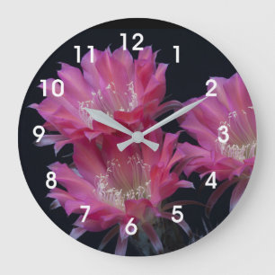 Reloj Redondo Grande Watermelon Cactus Surprise