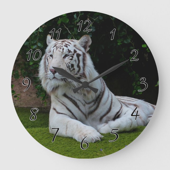 Reloj Redondo Grande White Bengal Tiger (Anverso)