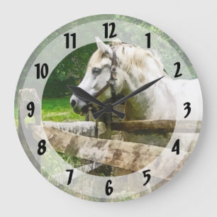 Reloj Redondo Grande White Horse Looking Away
